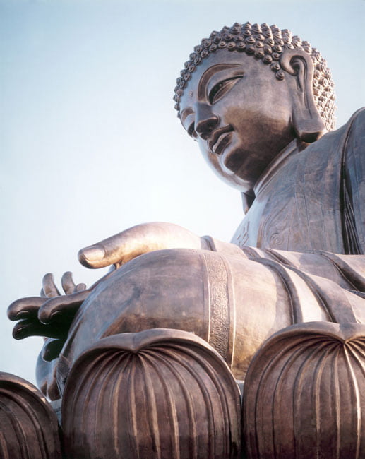 Big Buddha Renovations
