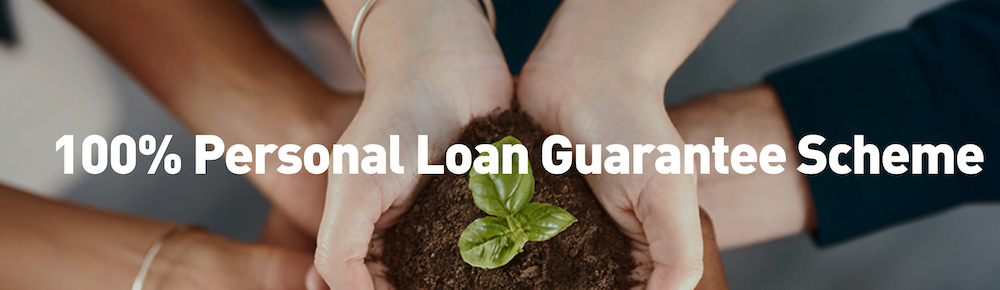 100% Personal Loan Guarantee Scheme