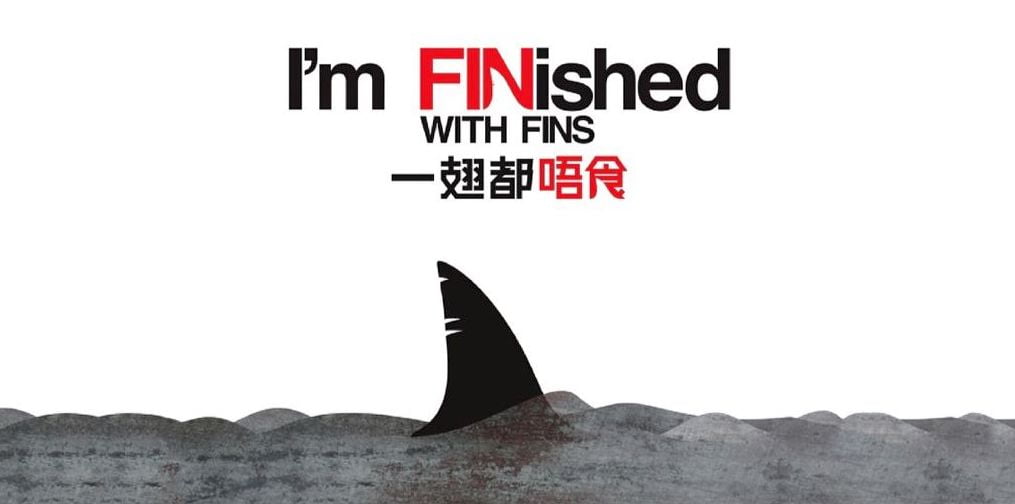 Finished with sharks fin!