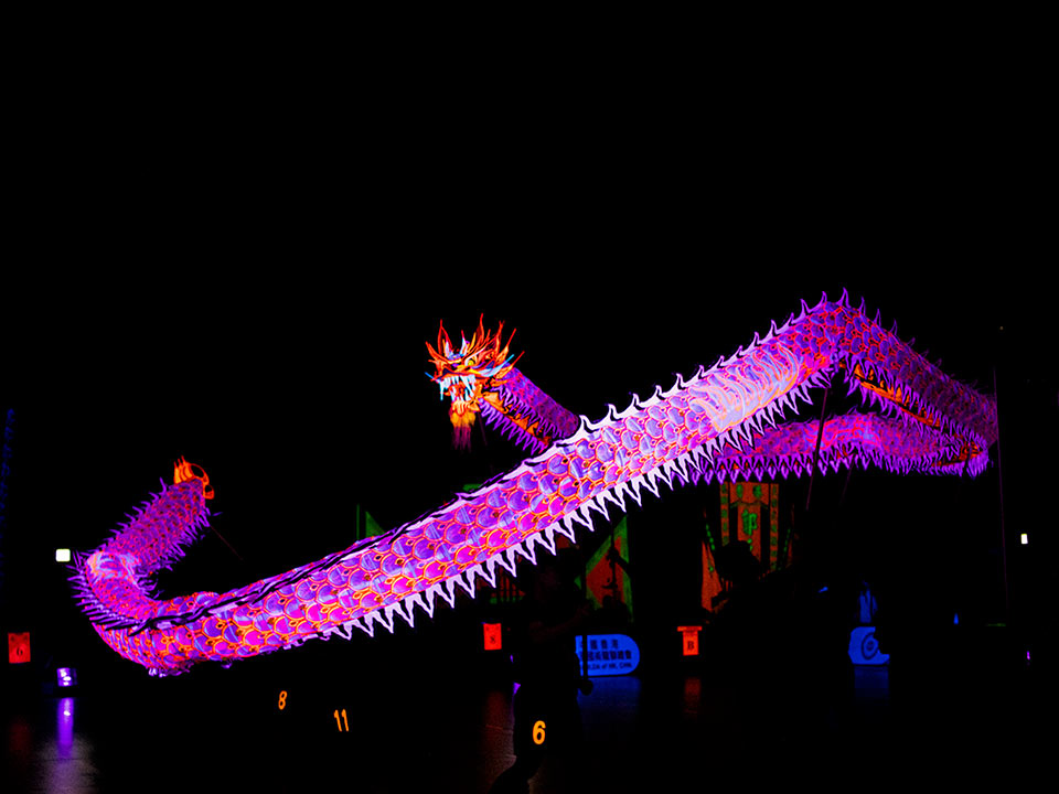 Year of the Horse Night Parade